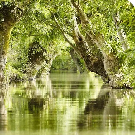 Belle Longere 130 M2 Aux Portes Du Marais Poitevin Niort Exterior photo