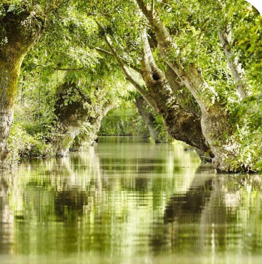 Belle Longere 130 M2 Aux Portes Du Marais Poitevin *